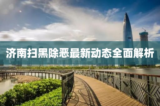 济南扫黑除恶最新动态全面解析