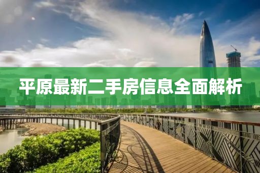 平原最新二手房信息全面解析