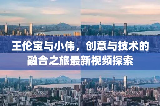 王伦宝与小伟，创意与技术的融合之旅最新视频探索