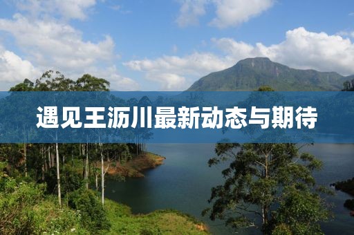 遇见王沥川最新动态与期待