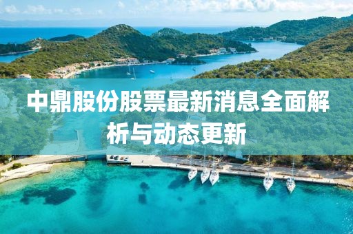 中鼎股份股票最新消息全面解析与动态更新