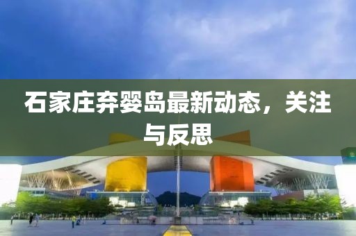 石家庄弃婴岛最新动态，关注与反思