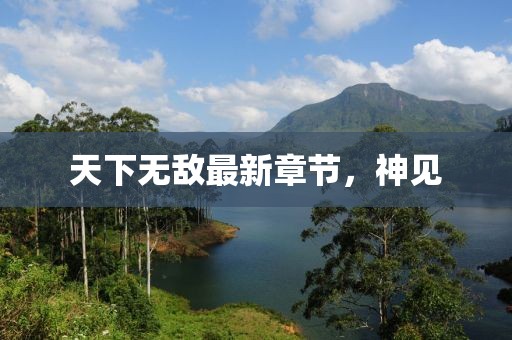 天下无敌最新章节，神见