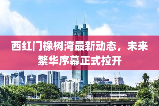 西红门橡树湾最新动态，未来繁华序幕正式拉开