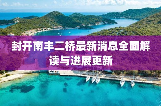 封开南丰二桥最新消息全面解读与进展更新