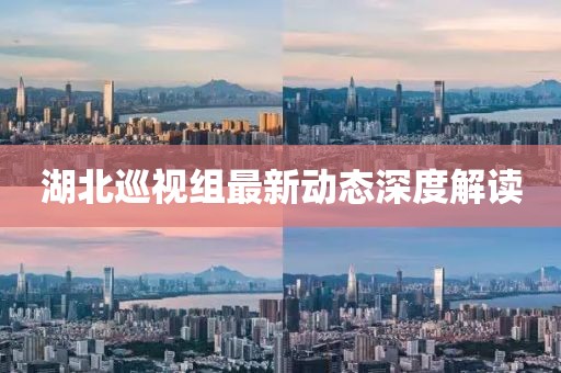 湖北巡视组最新动态深度解读