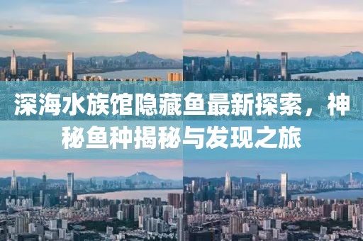深海水族馆隐藏鱼最新探索，神秘鱼种揭秘与发现之旅