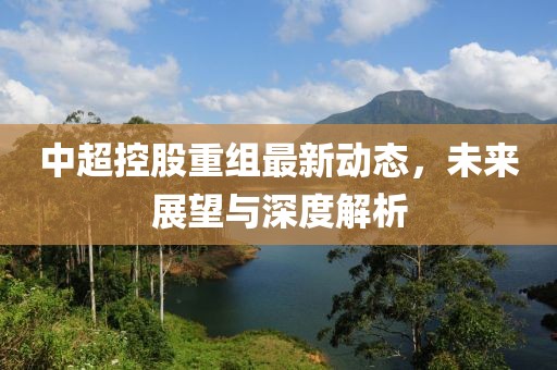 中超控股重组最新动态，未来展望与深度解析