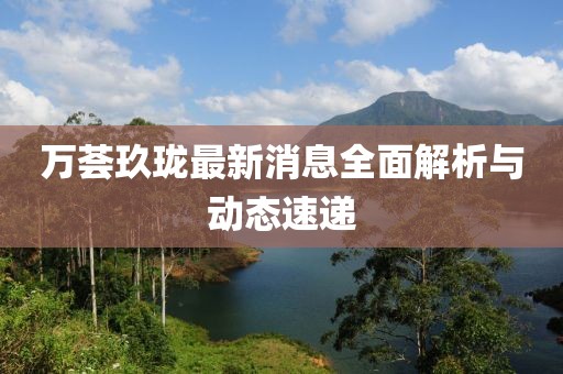 万荟玖珑最新消息全面解析与动态速递