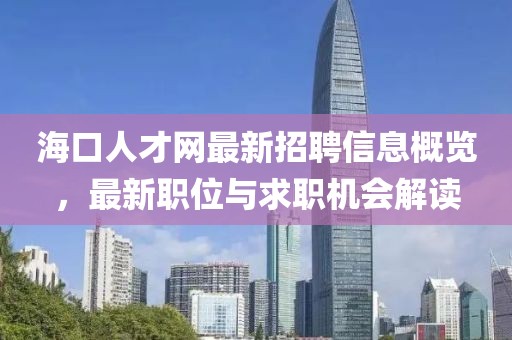 海口人才网最新招聘信息概览，最新职位与求职机会解读