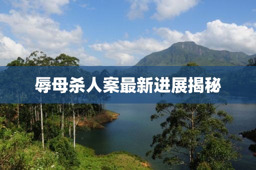 辱母杀人案最新进展揭秘