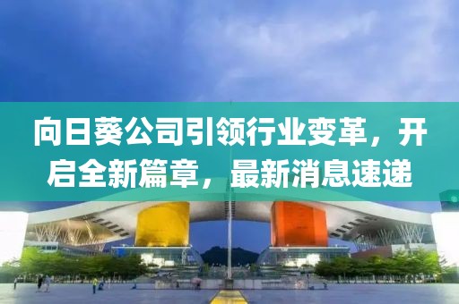 向日葵公司引领行业变革，开启全新篇章，最新消息速递