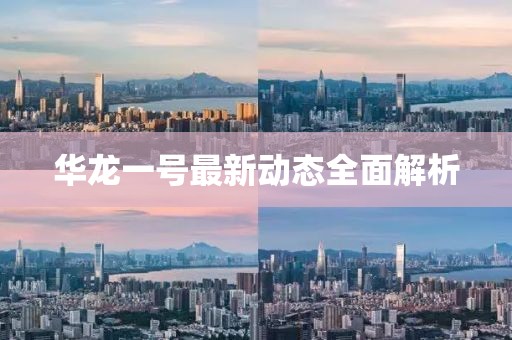 华龙一号最新动态全面解析