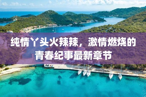 纯情丫头火辣辣，激情燃烧的青春纪事最新章节