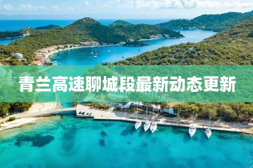青兰高速聊城段最新动态更新