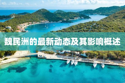 魏民洲的最新动态及其影响概述