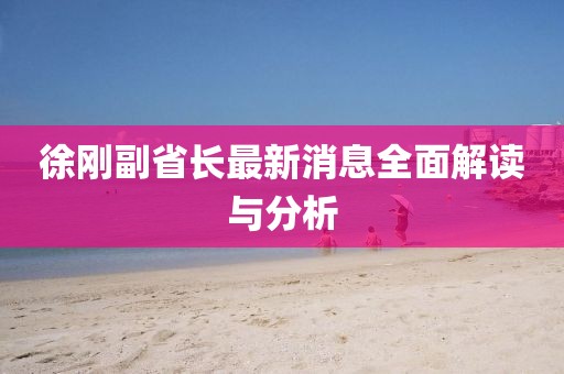 徐刚副省长最新消息全面解读与分析