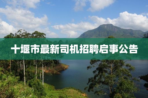 十堰市最新司机招聘启事公告