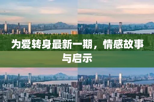 为爱转身最新一期，情感故事与启示