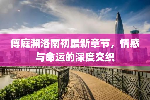 傅庭渊洛南初最新章节，情感与命运的深度交织