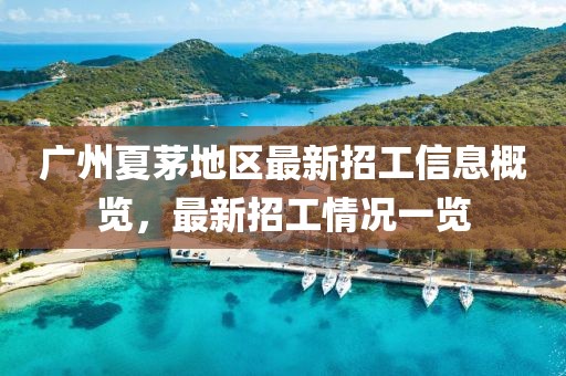 广州夏茅地区最新招工信息概览，最新招工情况一览