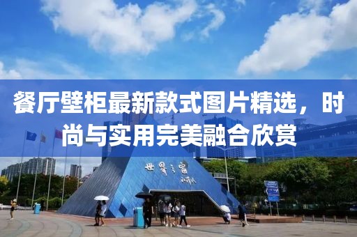 餐厅壁柜最新款式图片精选，时尚与实用完美融合欣赏