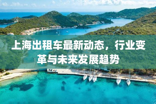 上海出租车最新动态，行业变革与未来发展趋势