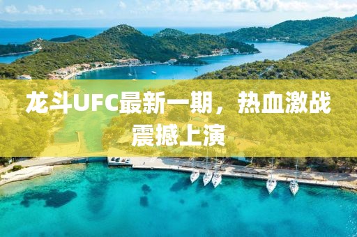 龙斗UFC最新一期，热血激战震撼上演