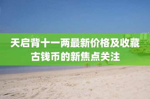 天启背十一两最新价格及收藏古钱币的新焦点关注