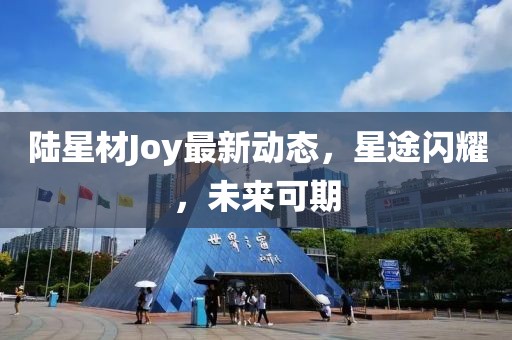 陆星材Joy最新动态，星途闪耀，未来可期