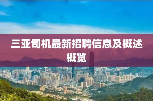 三亚司机最新招聘信息及概述概览