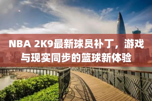 NBA 2K9最新球员补丁，游戏与现实同步的篮球新体验