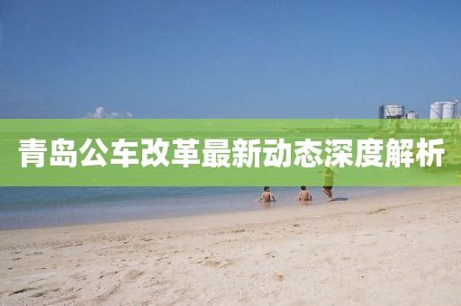 青岛公车改革最新动态深度解析
