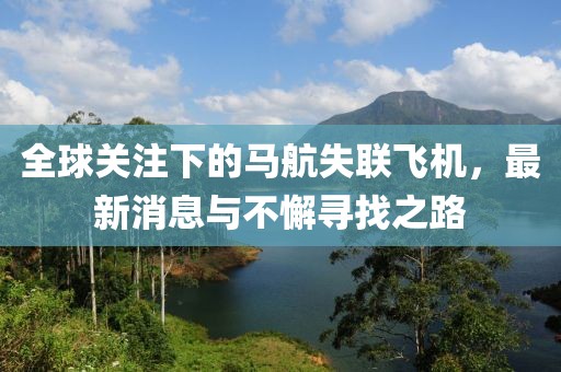 全球关注下的马航失联飞机，最新消息与不懈寻找之路