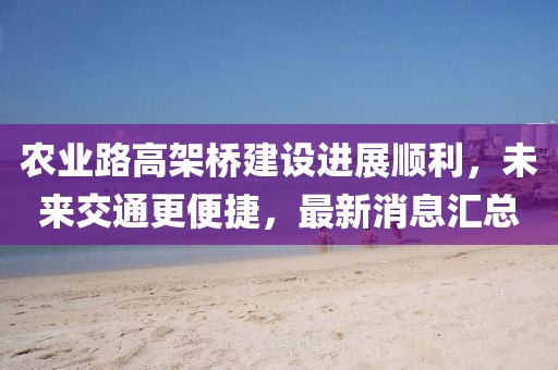 农业路高架桥建设进展顺利，未来交通更便捷，最新消息汇总