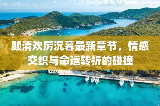 顾清欢厉沉暮最新章节，情感交织与命运转折的碰撞