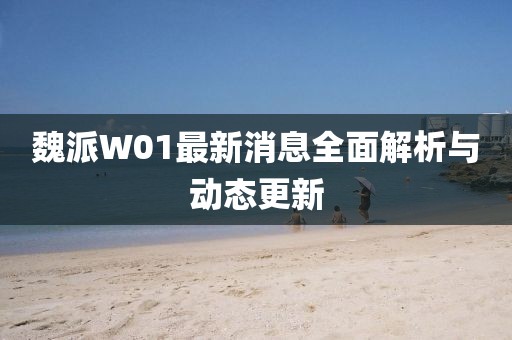 魏派W01最新消息全面解析与动态更新