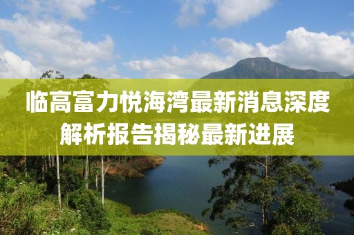 临高富力悦海湾最新消息深度解析报告揭秘最新进展