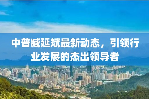 中普臧延斌最新动态，引领行业发展的杰出领导者