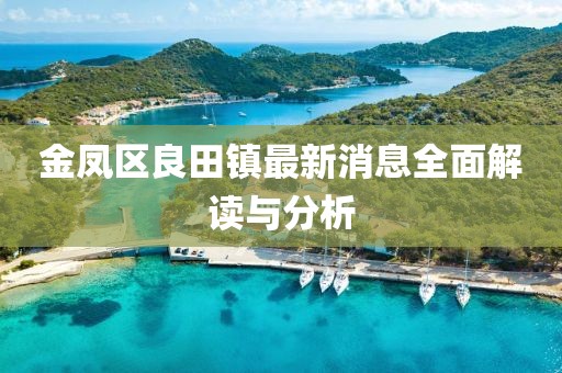 金凤区良田镇最新消息全面解读与分析
