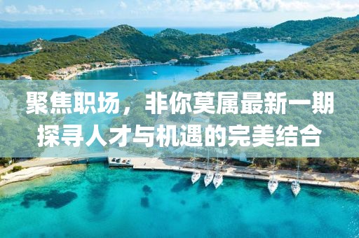 聚焦职场，非你莫属最新一期探寻人才与机遇的完美结合