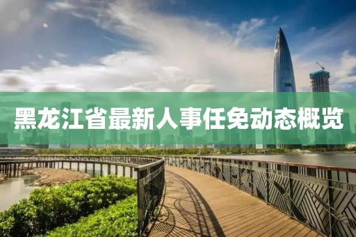 黑龙江省最新人事任免动态概览