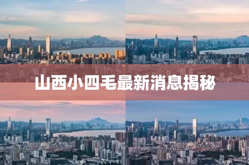 山西小四毛最新消息揭秘