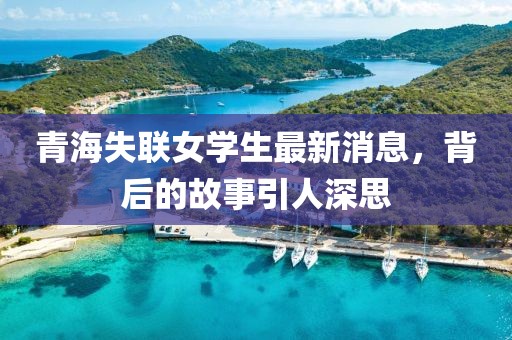 青海失联女学生最新消息，背后的故事引人深思