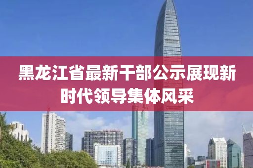 黑龙江省最新干部公示展现新时代领导集体风采