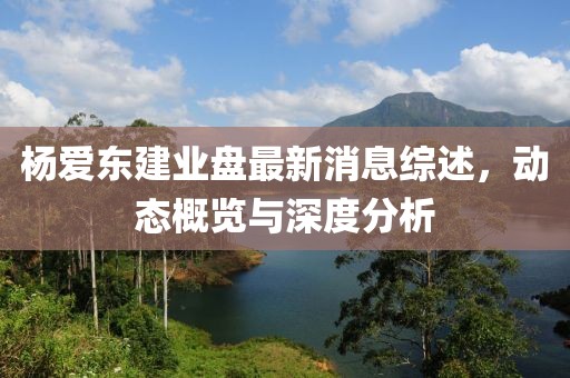 杨爱东建业盘最新消息综述，动态概览与深度分析