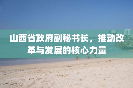 山西省政府副秘书长，推动改革与发展的核心力量