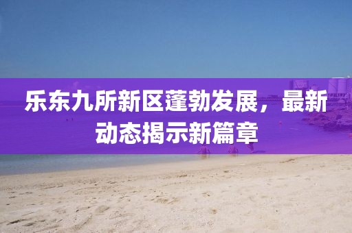 乐东九所新区蓬勃发展，最新动态揭示新篇章