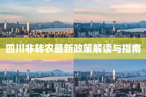 四川非转农最新政策解读与指南