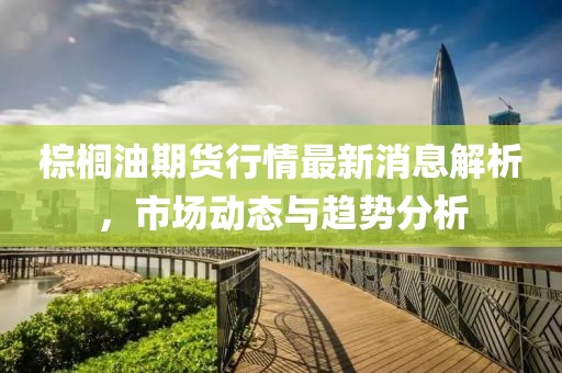棕榈油期货行情最新消息解析，市场动态与趋势分析